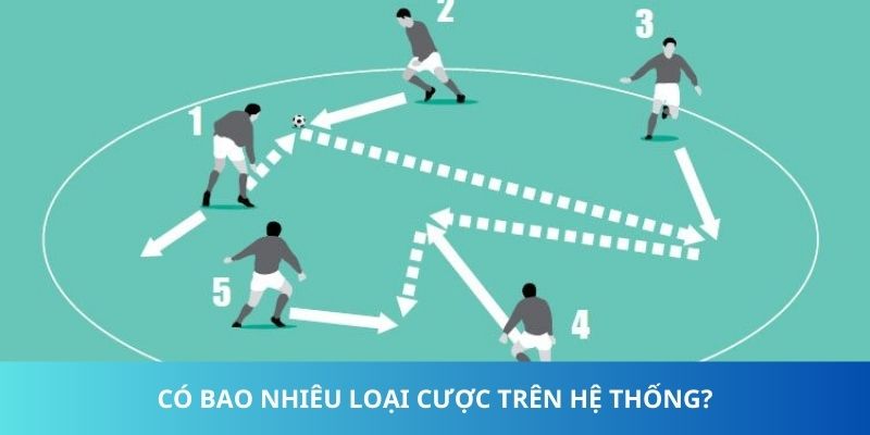 Có bao nhiêu loại cược trên hệ thống?
